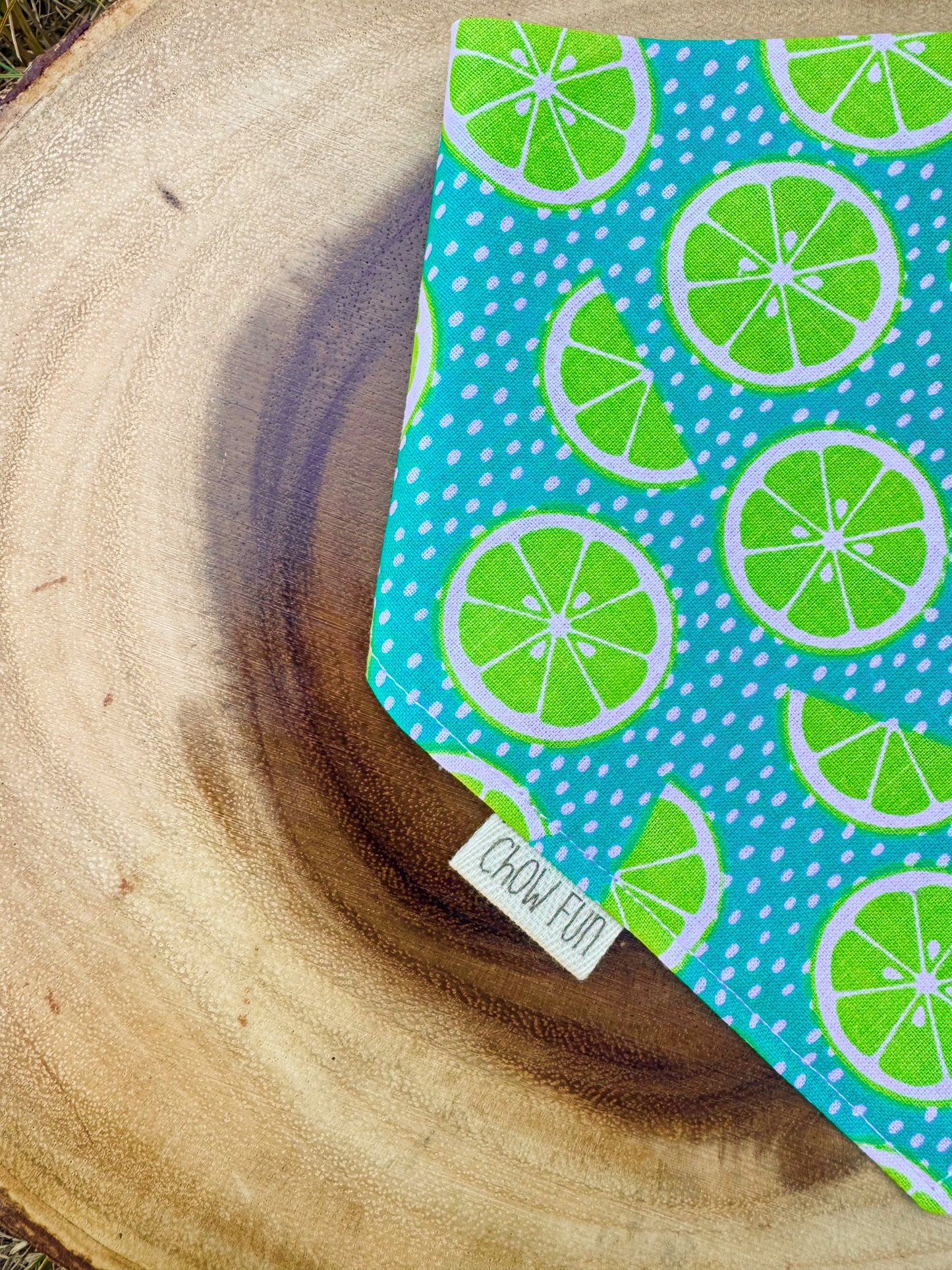 Key Lime K9 Bandana 🍋‍🟩