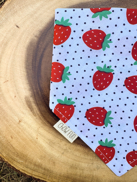 A Berry Good Pup Bandana 🍓