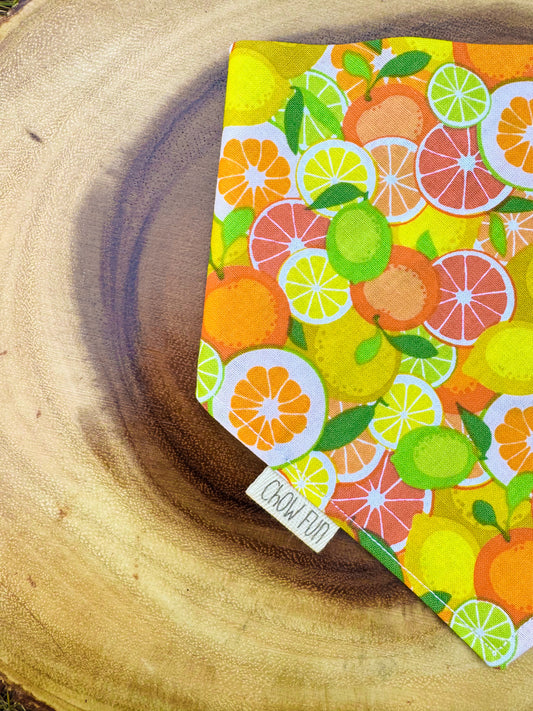 Citrus Splash Bandana 🍊