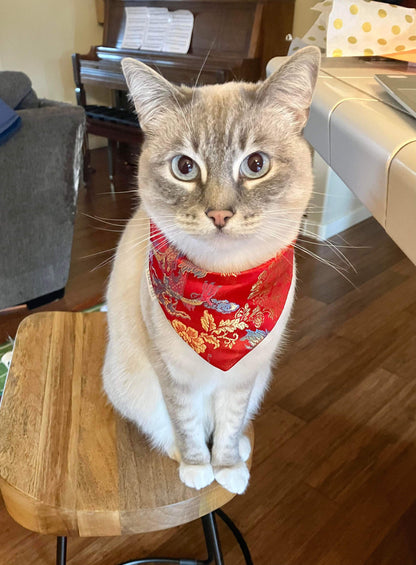 Red Dragon Bandana