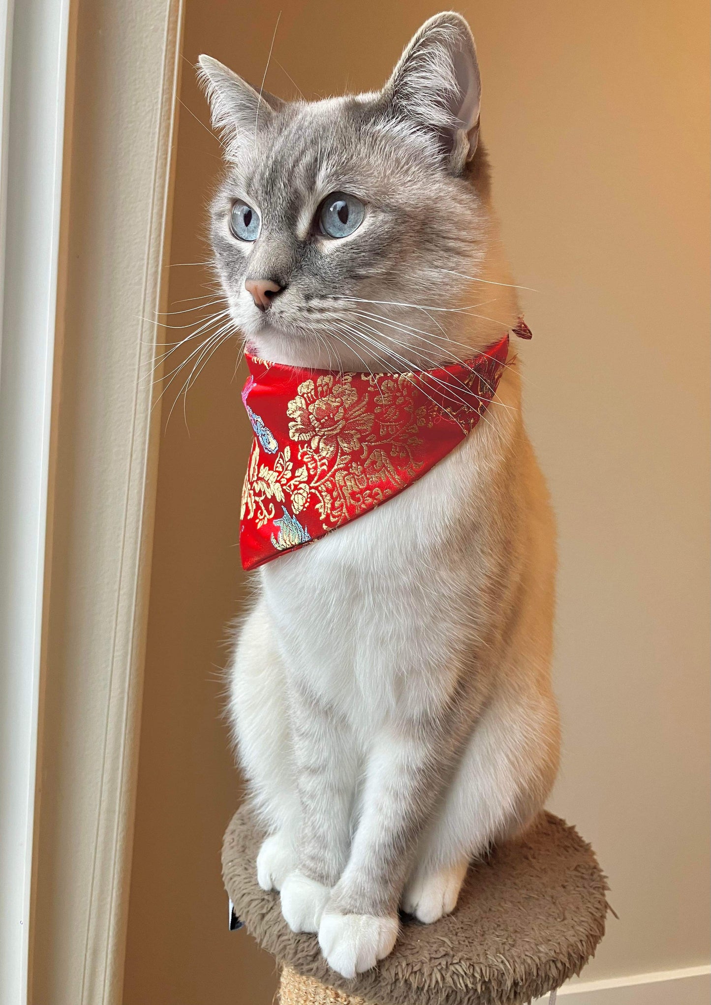 Limited Edition Red Dragon Bandana