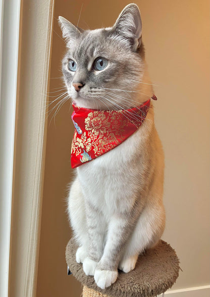 Red Dragon Bandana