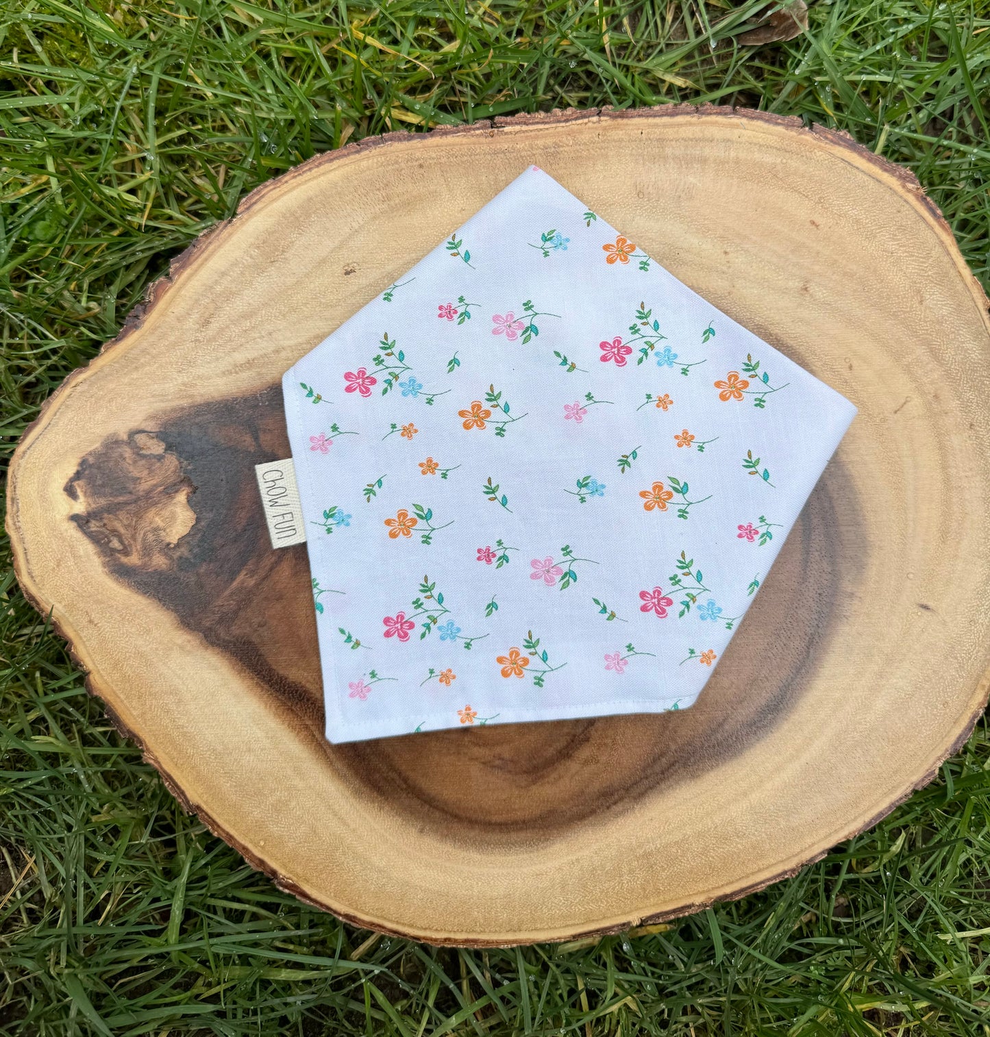 Springin' into Spring! Bandana (Limited)