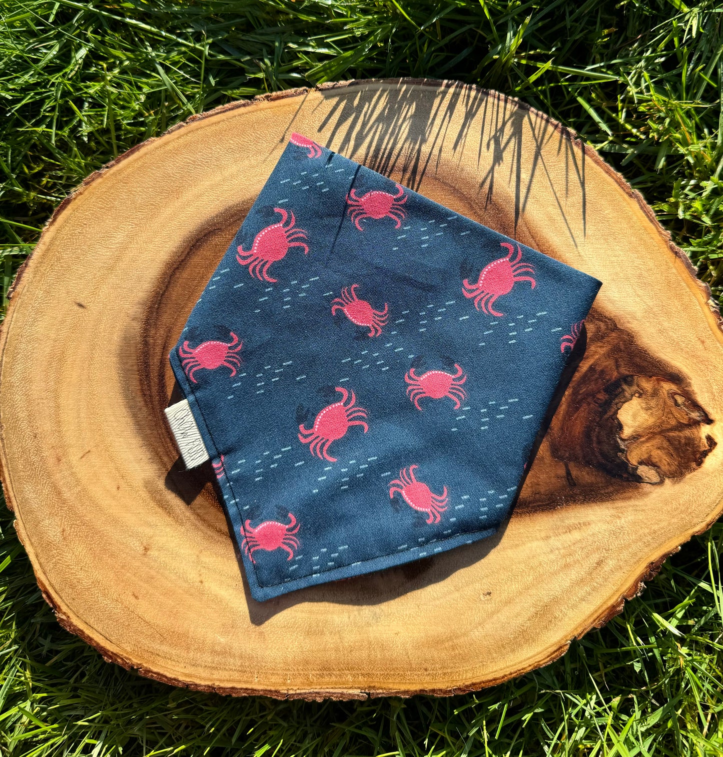 Crabby Crawlies Bandana