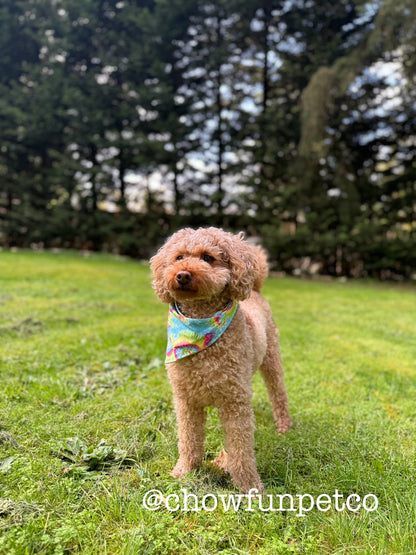 Wild Child Hippie Bandana