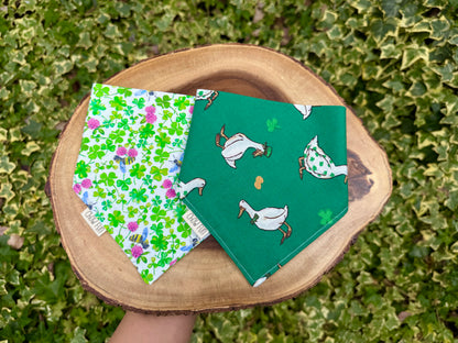 Clover Cutie St. Patty's Bandana