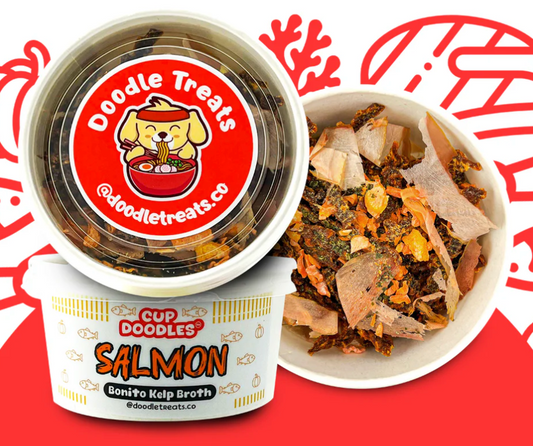 Salmon Cup Noodles For Dogs & Cats