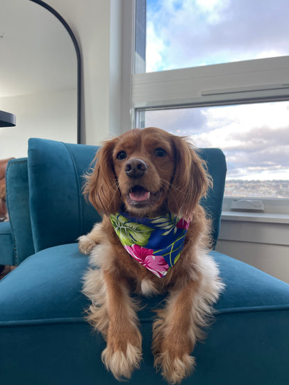 Polū (Blue) Hibiscus Bandana