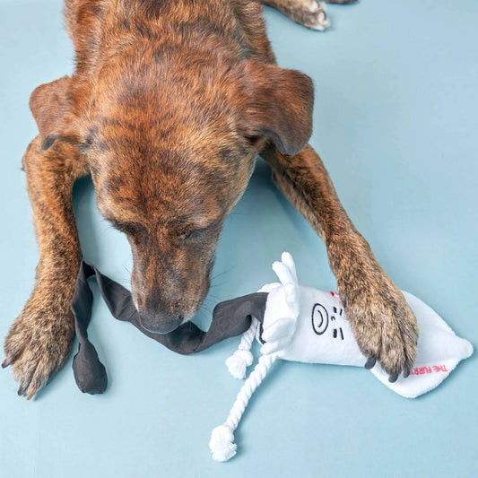 Calamari Enrichment Toy