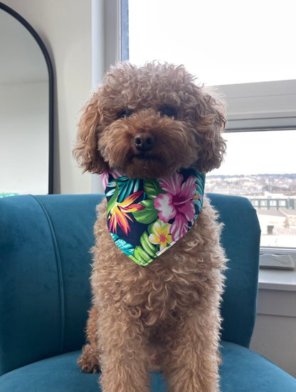 Hibiscus Heaven Bandana