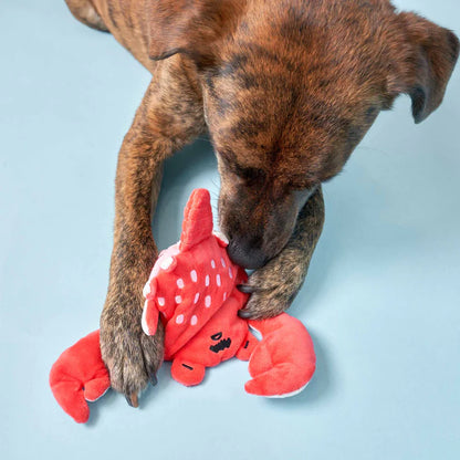 Crab Enrichment Toy