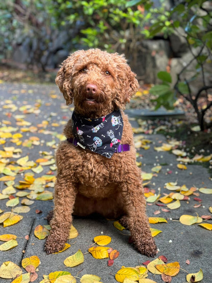 Dia de los Muertos Bandana